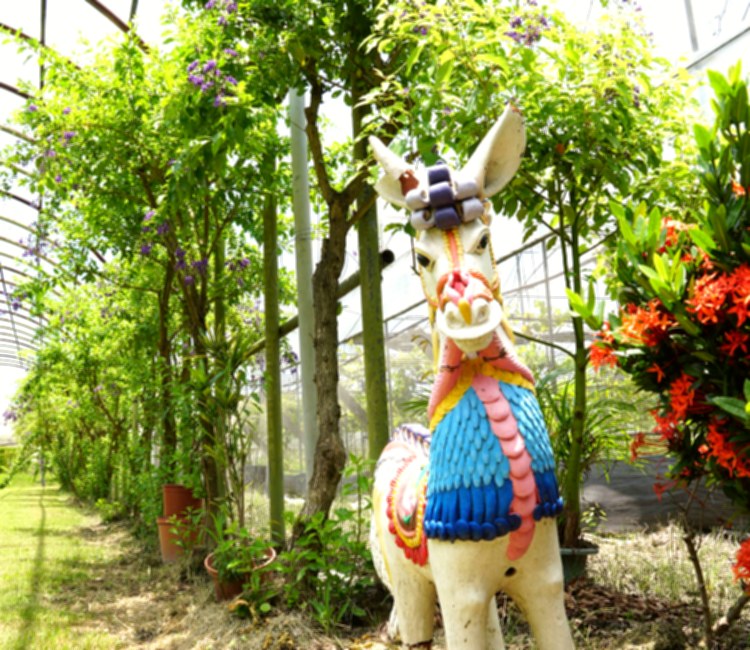 奈米休閒農場